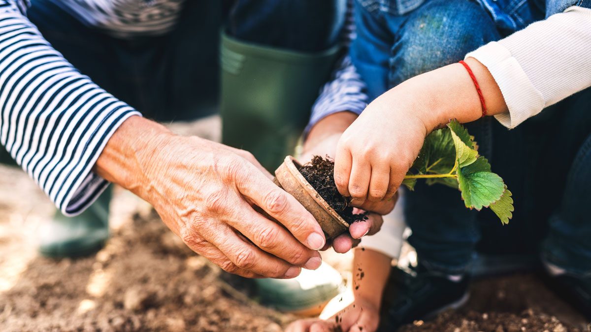 Medicare - gardening image